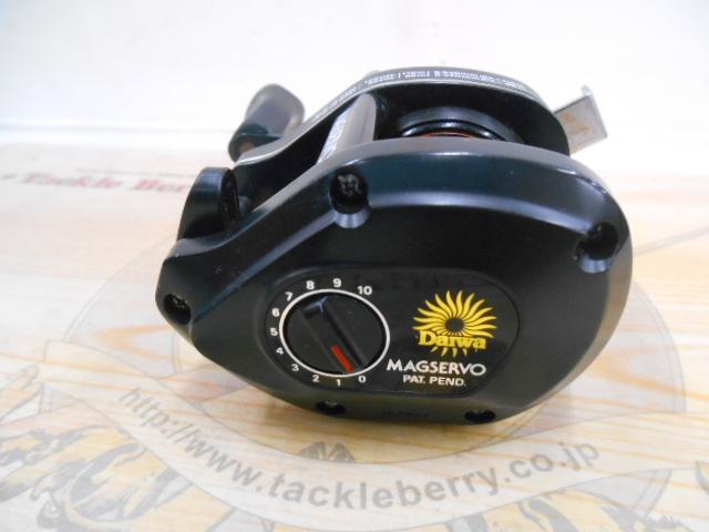 ﾌｧﾝﾄﾑﾏｸﾞｻｰﾎﾞ GS-10