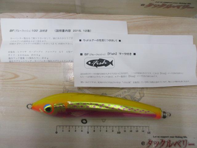 ﾌﾞﾙｰﾌｨｯｼｭ100