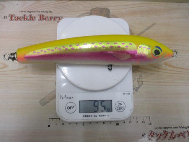 ﾌﾞﾙｰﾌｨｯｼｭ100