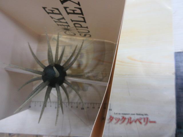 ｺｲｹｽｰﾌﾟﾚｯｸｽ